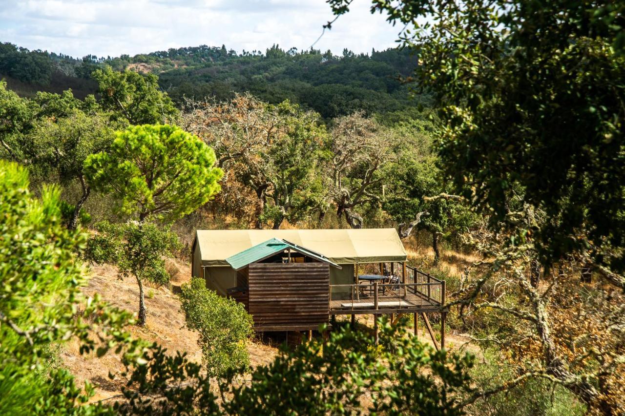 Figueirinha Ecoturismo Pension Monte da Estrada Buitenkant foto