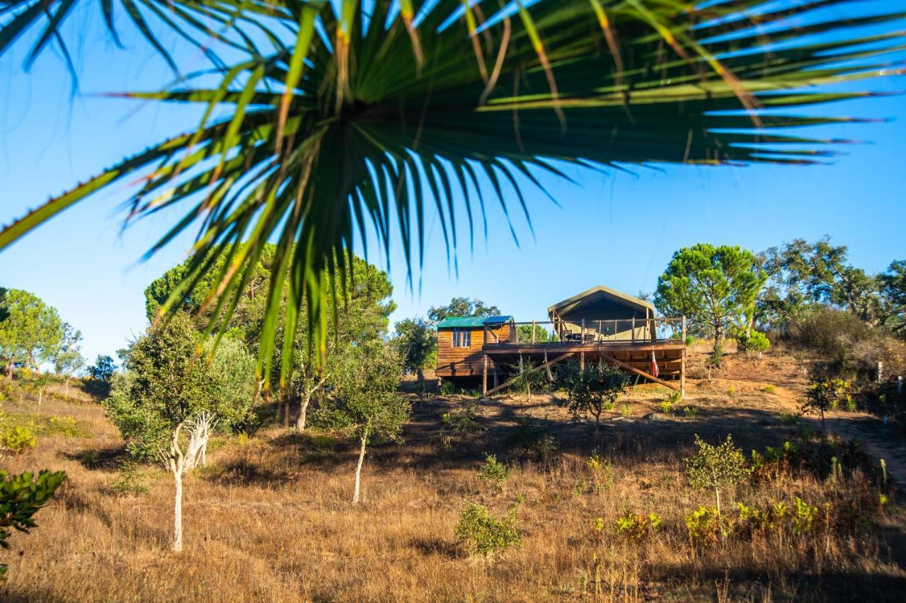Figueirinha Ecoturismo Pension Monte da Estrada Buitenkant foto