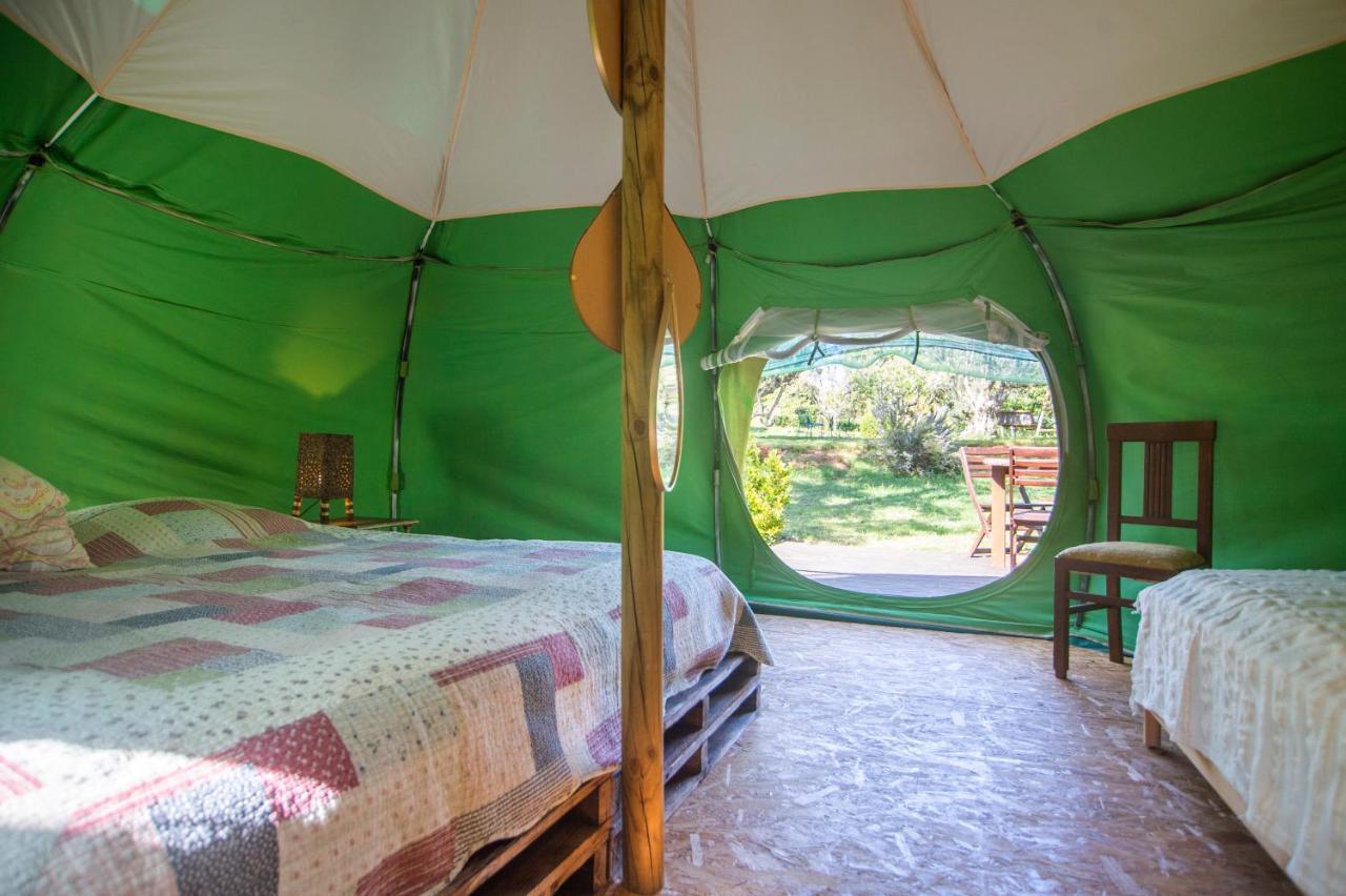 Figueirinha Ecoturismo Pension Monte da Estrada Buitenkant foto