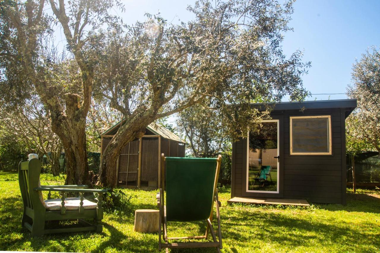 Figueirinha Ecoturismo Pension Monte da Estrada Buitenkant foto
