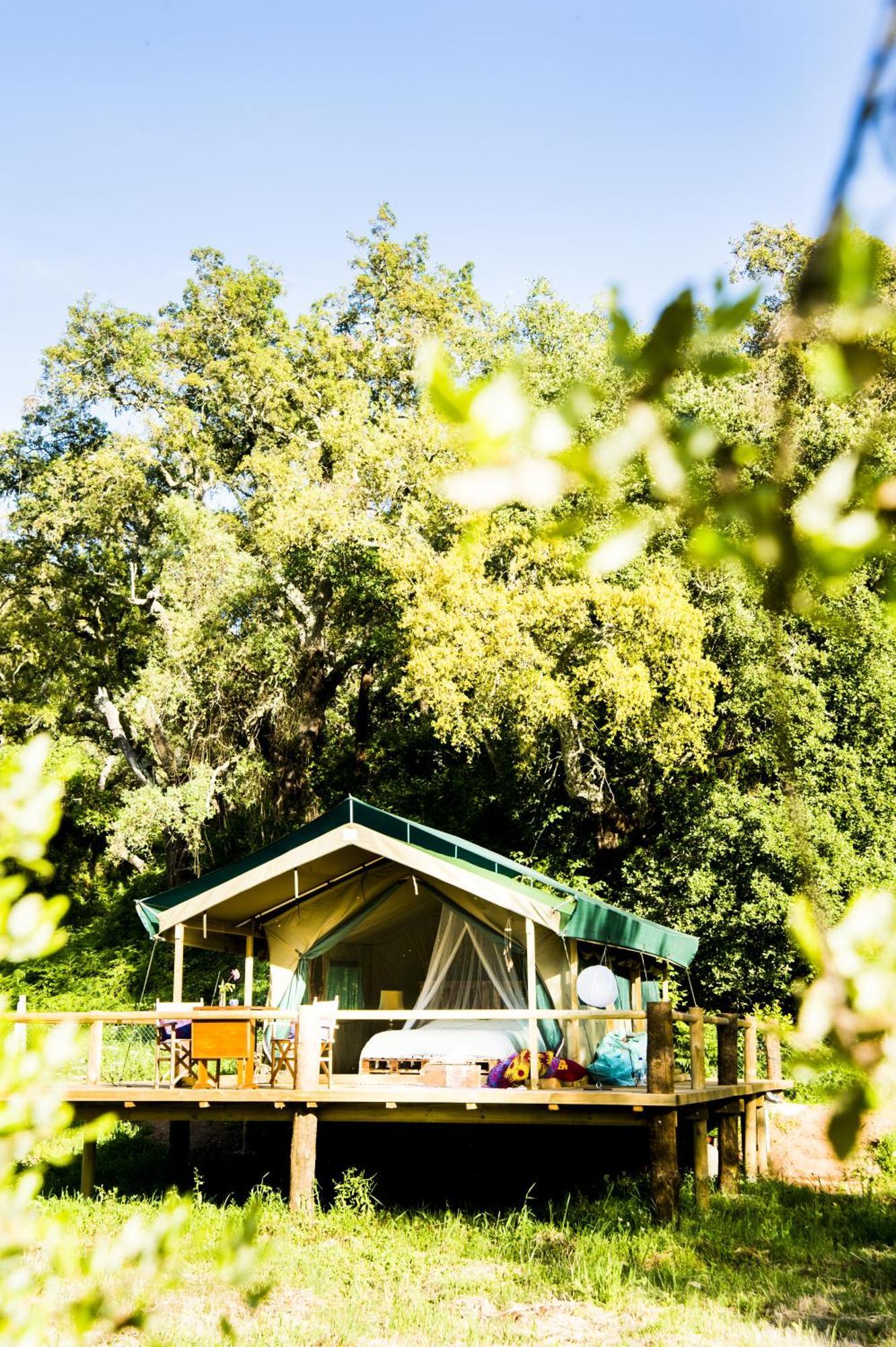 Figueirinha Ecoturismo Pension Monte da Estrada Kamer foto